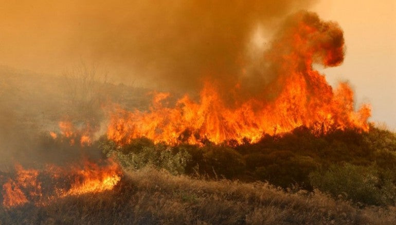 47 πυρκαγιές το τελευταίο 24ωρο -Σε Ζάκυνθο και Ναύπακτο τα μεγαλύτερα μέτωπα